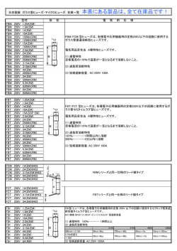 FBM 250V 1A(EM)