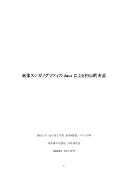 画像ステガノグラフィの Java による初歩的実装 - ようこそ！