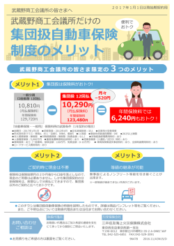 集団扱自動車保険・一般用チラシ