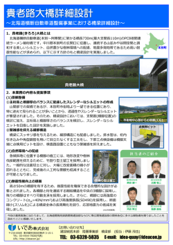 貴老路大橋詳細設計