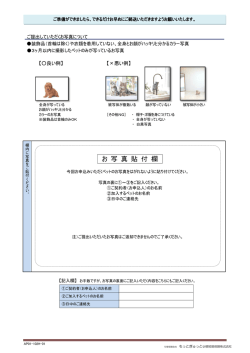 写真貼付台紙 - あんしんペット保険