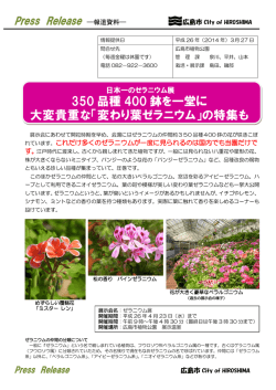 「変わり葉ゼラニウム」の特集も！！