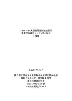 ITER NBI大型耐電圧試験装置用 高電圧機器取付フランジの製作 仕様