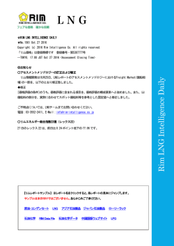 レポートサンプル - rim intelligence co.