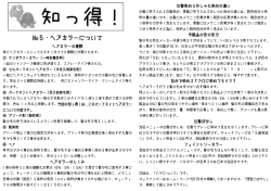 No5・ヘアカラーについて