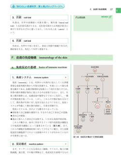 1 a．免疫反応の基礎 basics of immune reactions F．皮膚の免疫機構