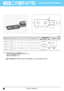 裸圧着二つ穴端子（NTT形）