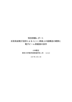 卒業論文 - Valdes