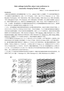 Male cabbage butterflies adjust mate preference to seasonally