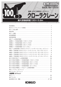 BM1000G