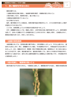 1．良い種籾を作るために