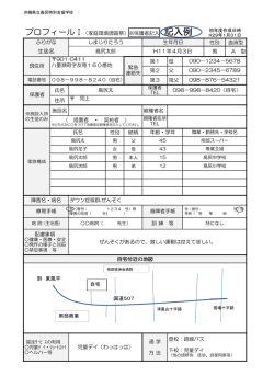 H29プロフィールⅠ・Ⅱ（記入例）