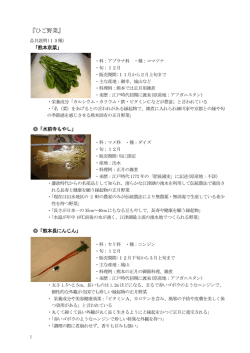 『ひご野菜』