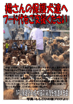 中国「犬肉祭り」で犬達は「盗まれた飼い犬が多い」非人道的な拷問 を