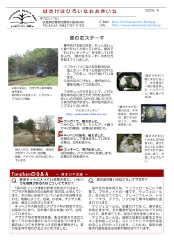 4月 - 山本ファミリー農園