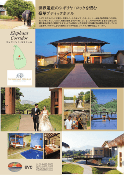 豪華ブティックホテル