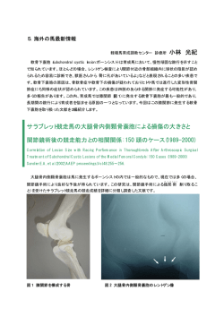 サラブレット競走馬の大腿骨内側顆骨嚢胞による損傷の大きさと 関節鏡