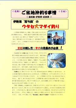 ご当地秋のマダイ釣り20131123