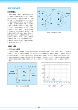 元素分析の基礎(PDF 387 kB)