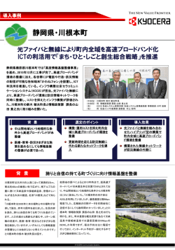 要約版PDFダウンロード（396KB）