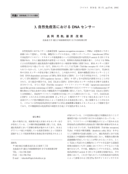 3. 自然免疫系における DNA センサー