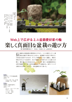 掲載記事1ページ - 超ミニ盆栽鉢同好会