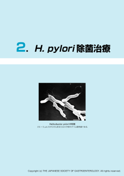 2．H. pylori 除菌治療