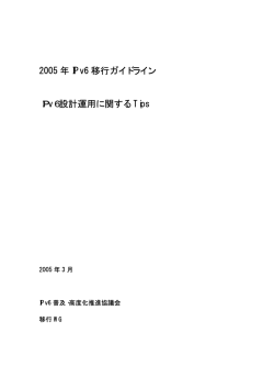 2005 年 IPv6 移行ガイドライン IPv6設計運用に関する Tips