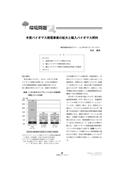 木質バイオマス発電事業の拡大と輸入バイオマス燃料 [PDF 977KB]