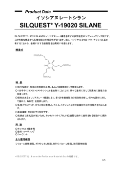 SILQUEST* Y-19020 SILANE Product Data
