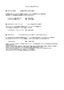 「エンジン光」オプション