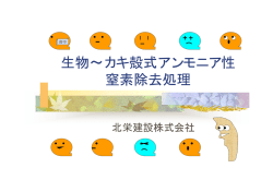 生物～カキ殻式アンモニア性 窒素除去処理