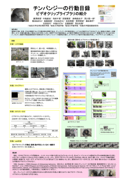 チンパンジーの行動目録