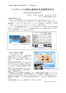 アカザエビの深層水養殖産業基盤開発研究