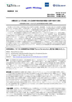 沈殿反応により引き起こされる流体不安定対流の実証に