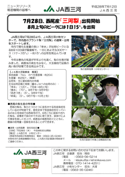 7月28日、西尾産「三河梨」出荷開始