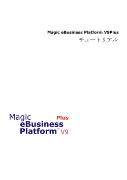 Magic eBusiness Platform V9Plus