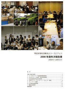 2008 年度年次報告書