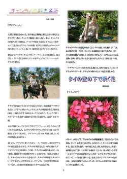 2月 - チェンライ日本人会