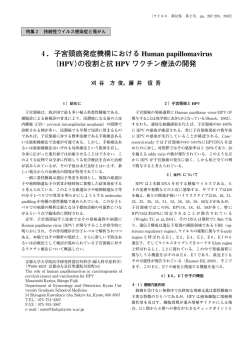 4．子宮頸癌発症機構における Human papillomavirus （HPV）の役割と