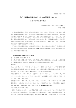 中間報告 No．3 - 日本国際ボランティアセンター