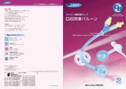 GB胃瘻バルーン GB胃瘻バルーン