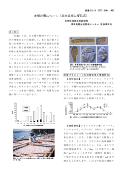 赤潮対策について（高水温期に要注意）