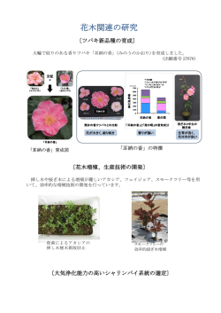 花木関連の研究