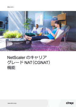 NetScaler のキャリア グレード NAT（CGNAT） 機能