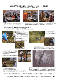 自然教室「丹沢の野生動物 ～くらしをさぐってみよう～ 写真報告