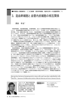 3．造血幹細胞と血管内皮細胞の相互関係