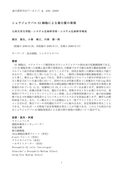 ショウジョウバエ S2 細胞による蛋白質の発現