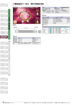 頭脳電源 手足電源 着脱式出力ハーネス WH-V0808-500