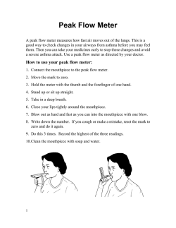 Peak Flow Meter - Japanese - Health Information Translations